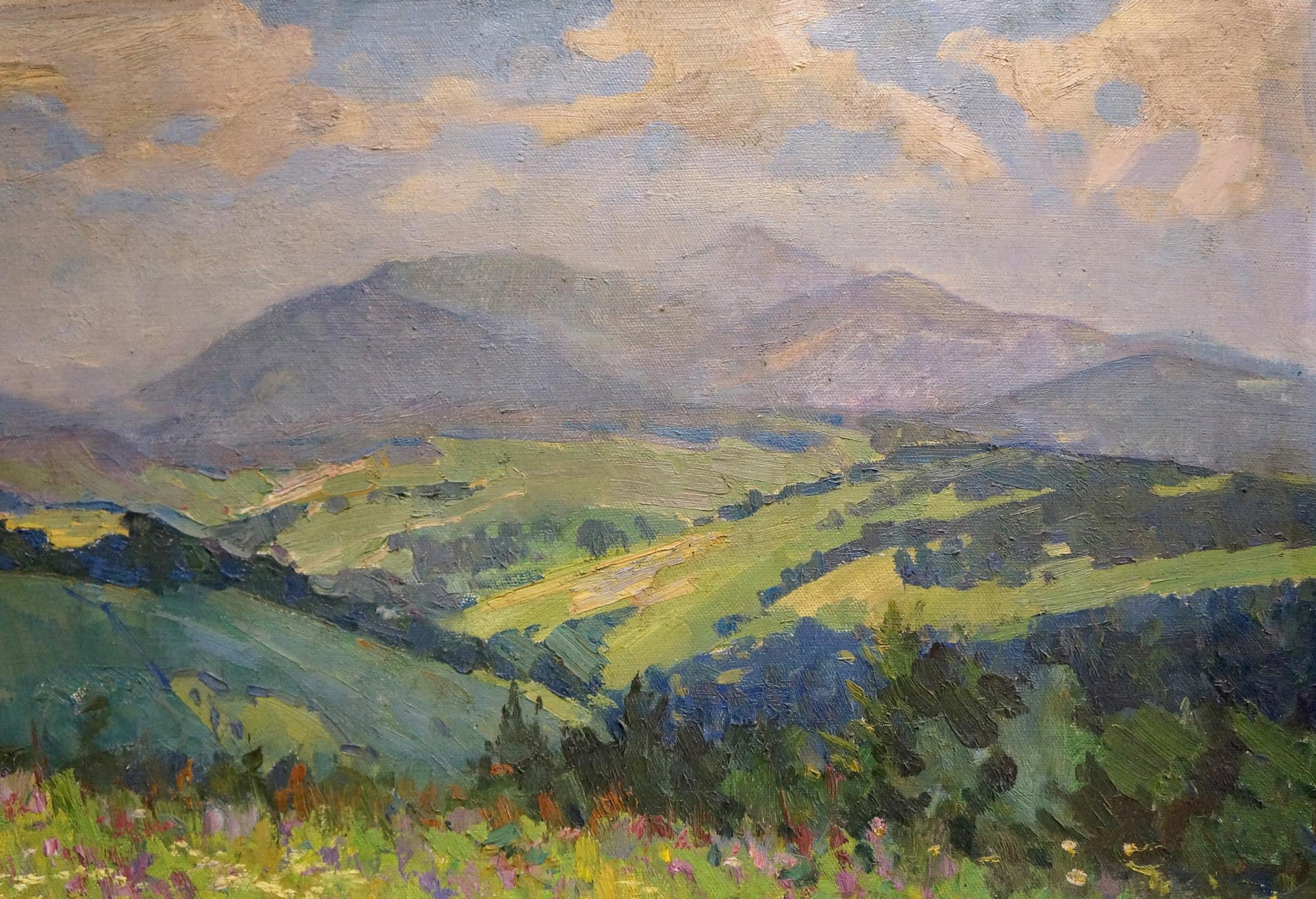 Oil painting of green hills and purple mountains by Zhabinsky Leonid Andreevich