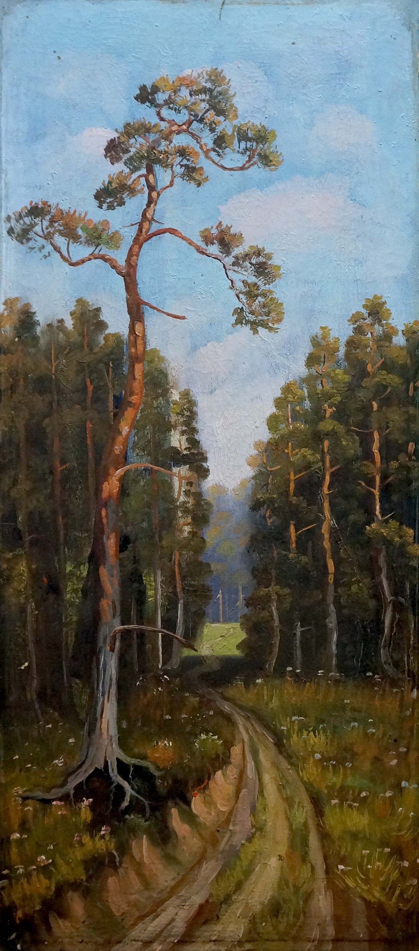Oil painting of summer forest path with tall slender pine tree