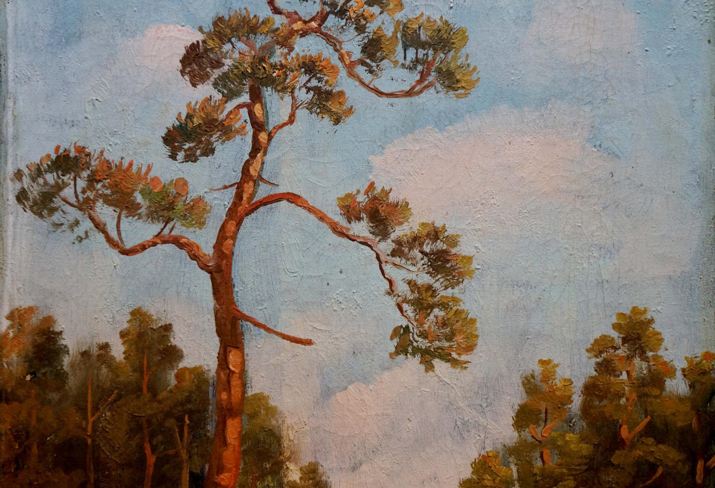 Oil painting of summer forest path with tall pine tree by unknown artist