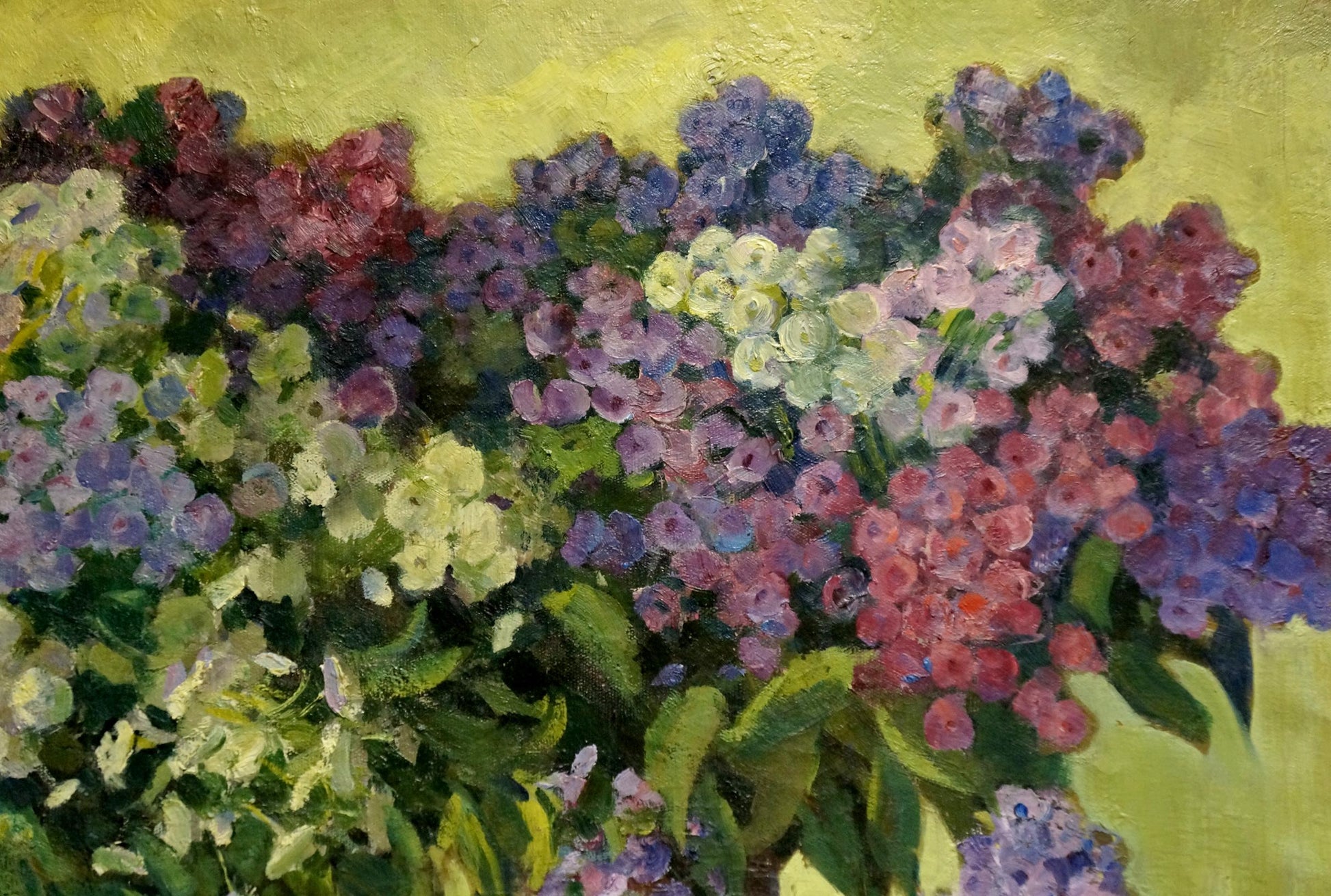 Vibrant oil painting of Phlox by Suponin Petr Mikhailovich, purple pink white hydrangeas on yellow background