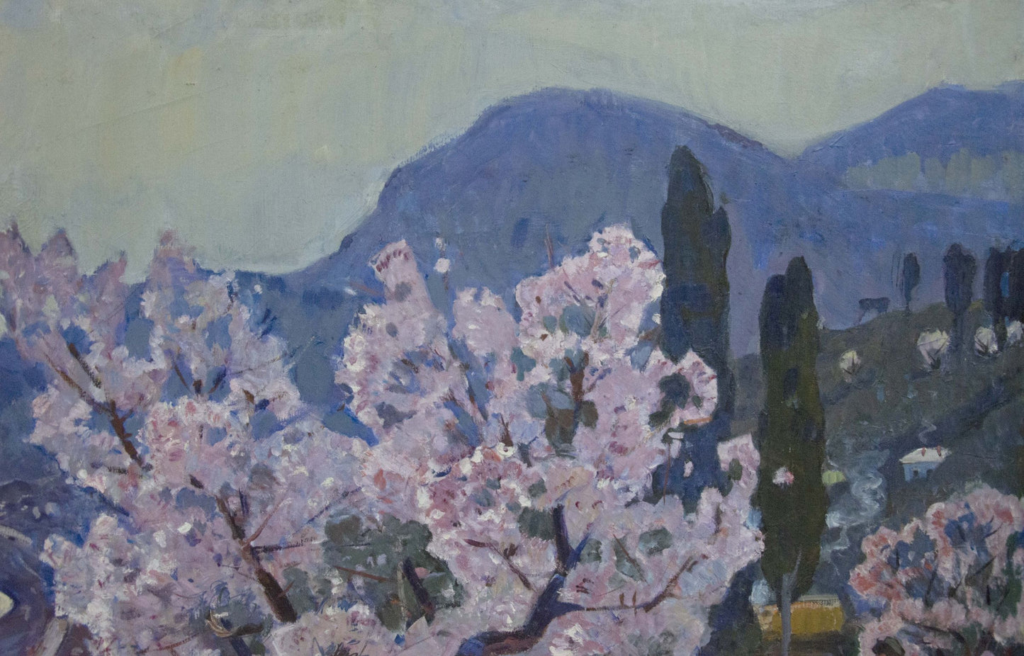 Oil painting of pink cherry blossoms by Alexander Kerzhner