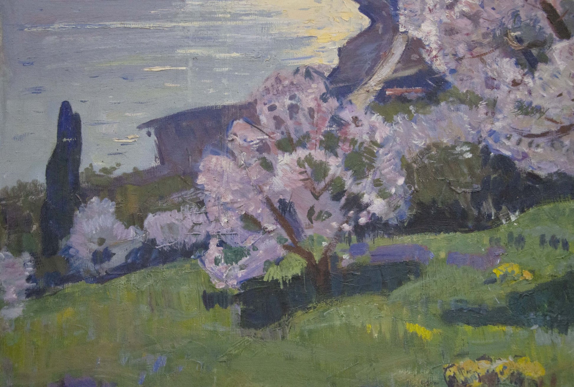 Vibrant oil painting of blossoming cherry trees by Alexander Kerzhner