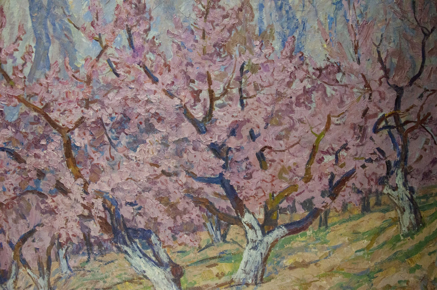 Vibrant impressionist oil painting of blooming cherry blossom trees by Koshevoi Stepan Lvovich
