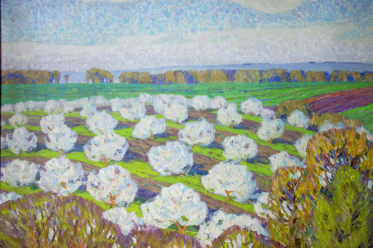 Oil painting Blooms by Zlyden Yuri Fedorovich: white trees, blue sky