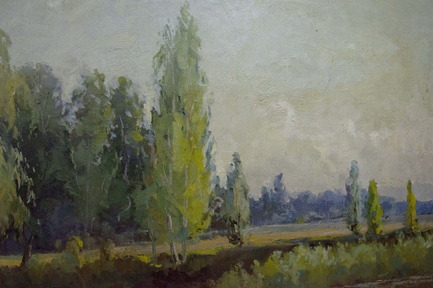Oil painting Summer landscape by Nepiypivo Vasily Ignatievich