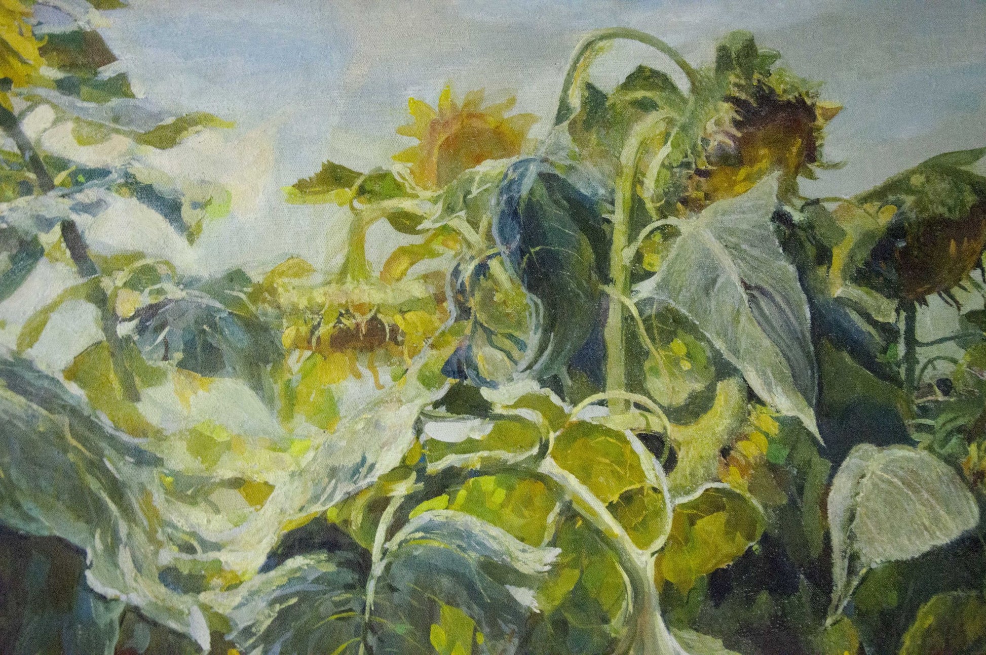 Vibrant impressionist oil painting of sunflowers by Sidoruk Vladimir Fedorovich