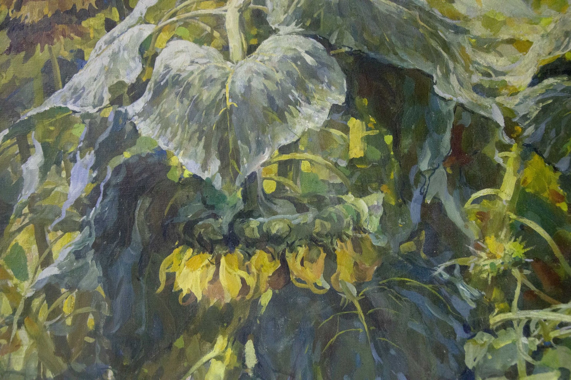 Oil painting of sunflowers by Sidoruk Vladimir Fedorovich