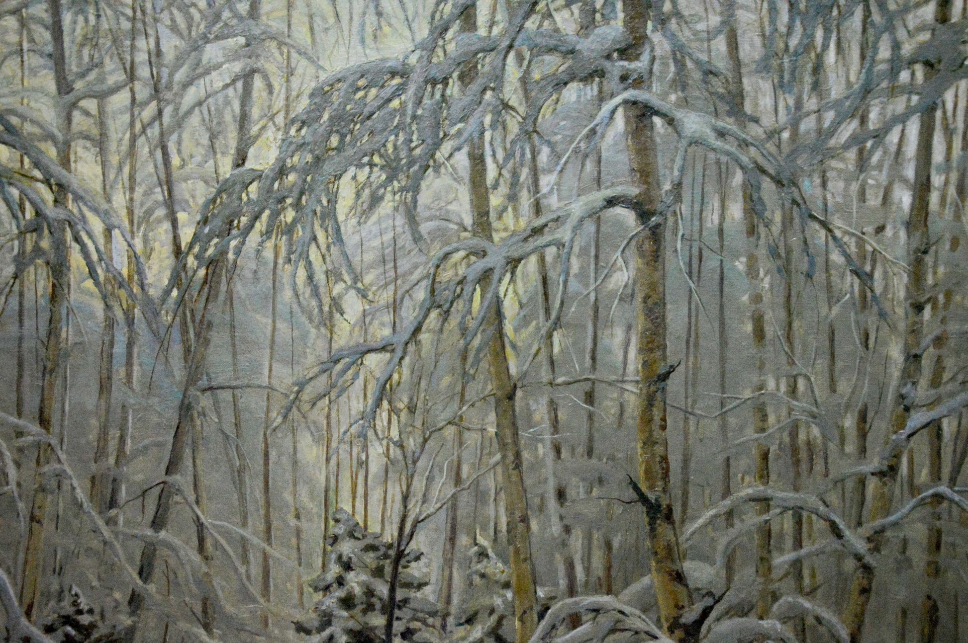 Oil painting by Kamzolkin Evgeny Ivanovich: snow-laden birch trees in winter forest
