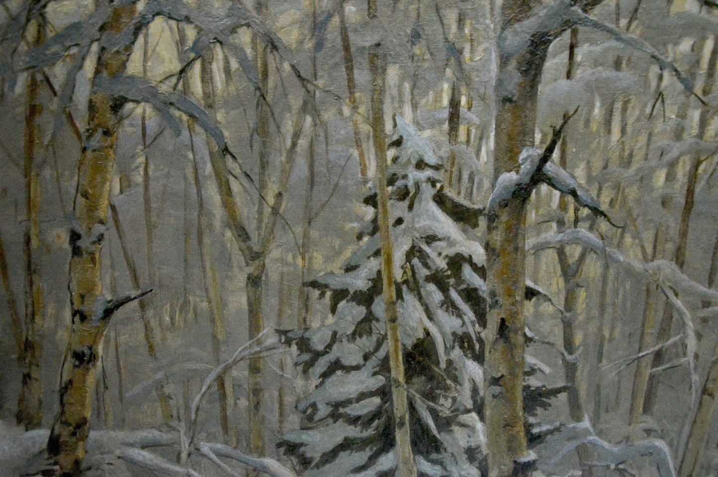 Oil painting of snow-covered pine in birch forest by Kamzolkin Evgeny Ivanovich
