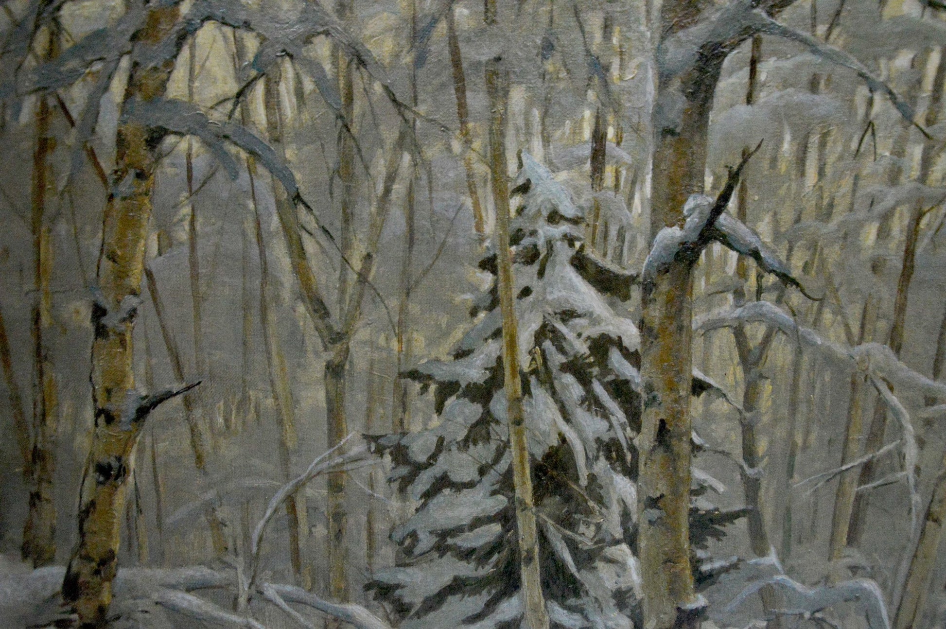 Oil painting of snow-covered pine in birch forest by Kamzolkin Evgeny Ivanovich