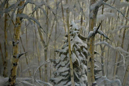 Oil painting of snow-covered pine in birch forest by Kamzolkin Evgeny Ivanovich