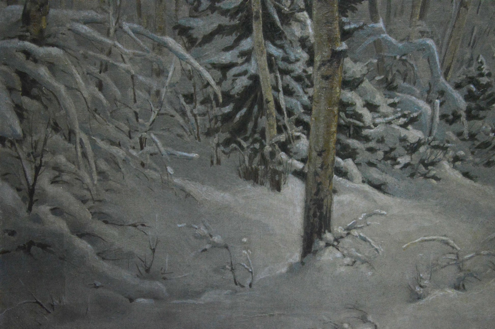 Oil painting of snow-covered forest by Kamzolkin Evgeny Ivanovich