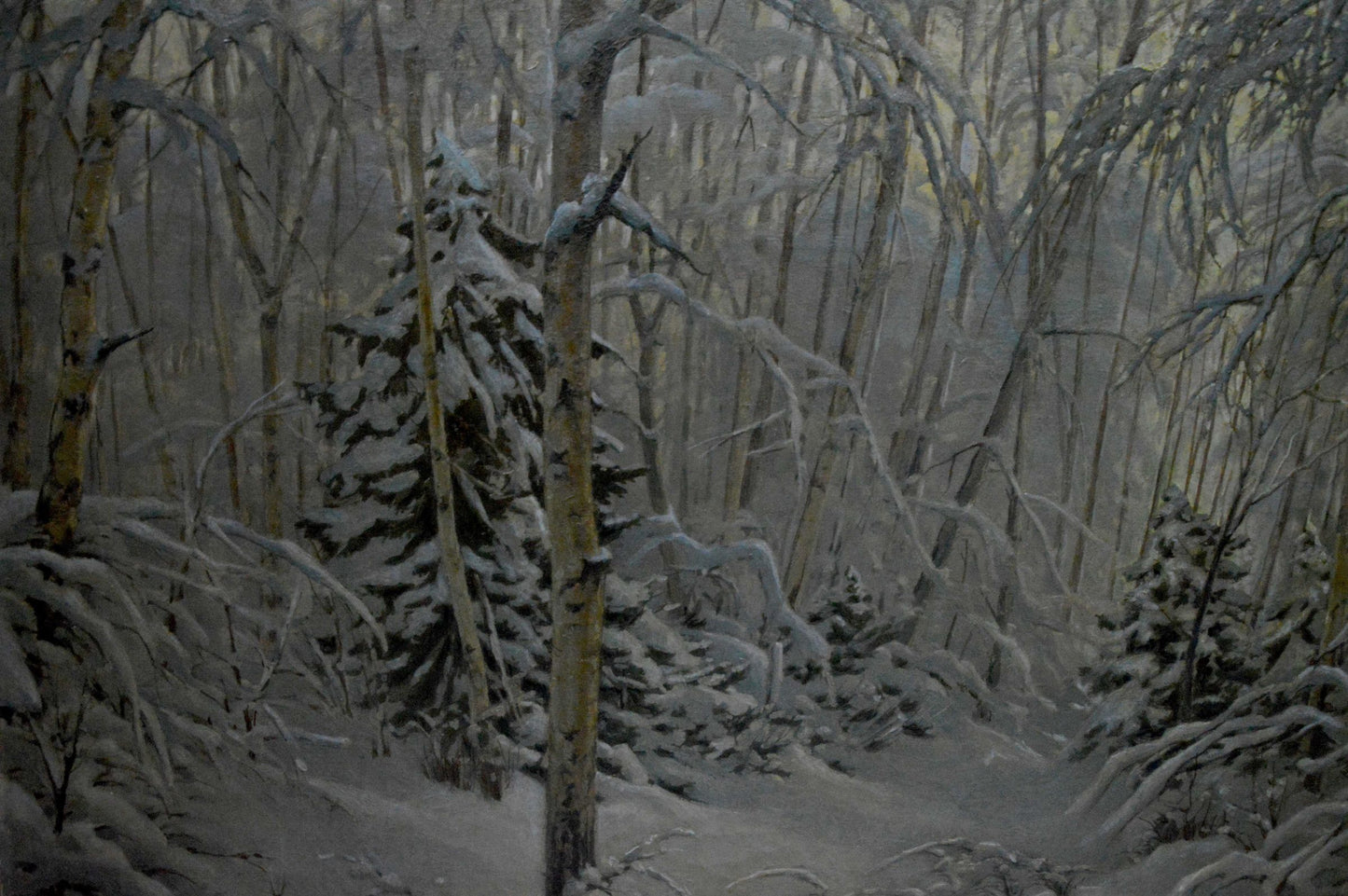 Oil painting by Kamzolkin Evgeny Ivanovich: snow-covered evergreen in wintry birch forest