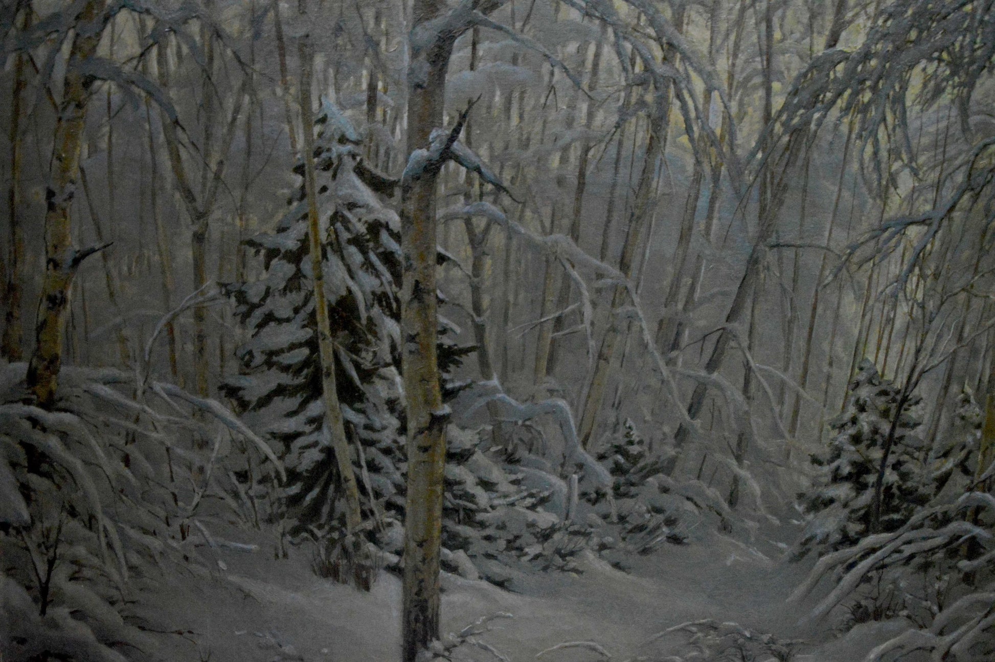 Oil painting by Kamzolkin Evgeny Ivanovich: snow-covered evergreen in wintry birch forest