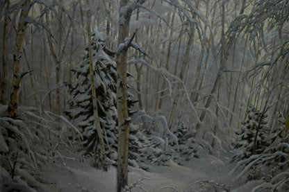 Oil painting by Kamzolkin Evgeny Ivanovich: snow-covered evergreen in wintry birch forest