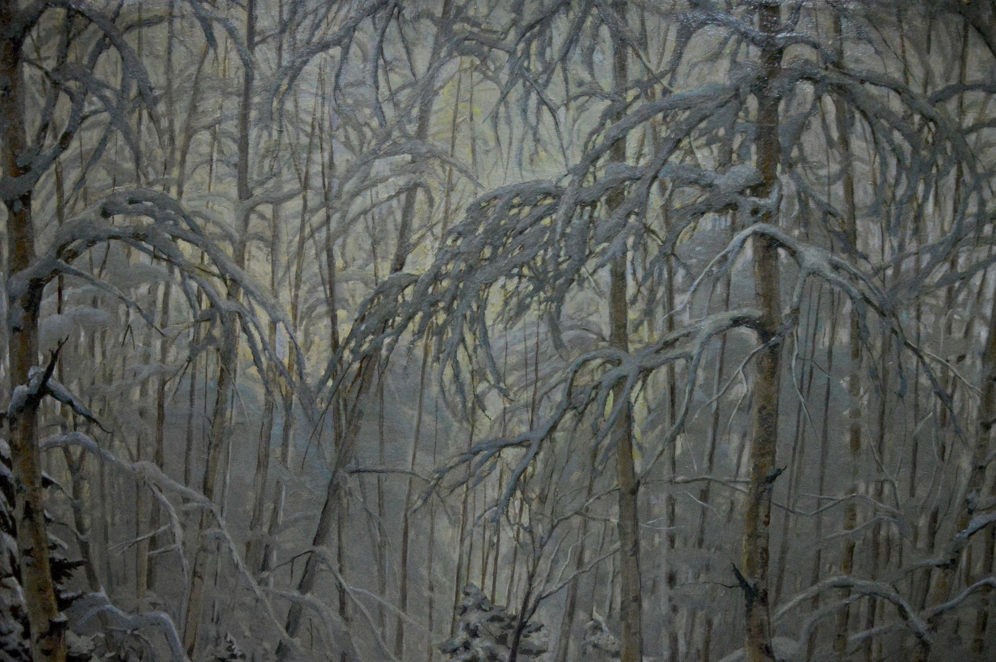 Oil painting by Kamzolkin Evgeny Ivanovich: snow-laden birch winter forest