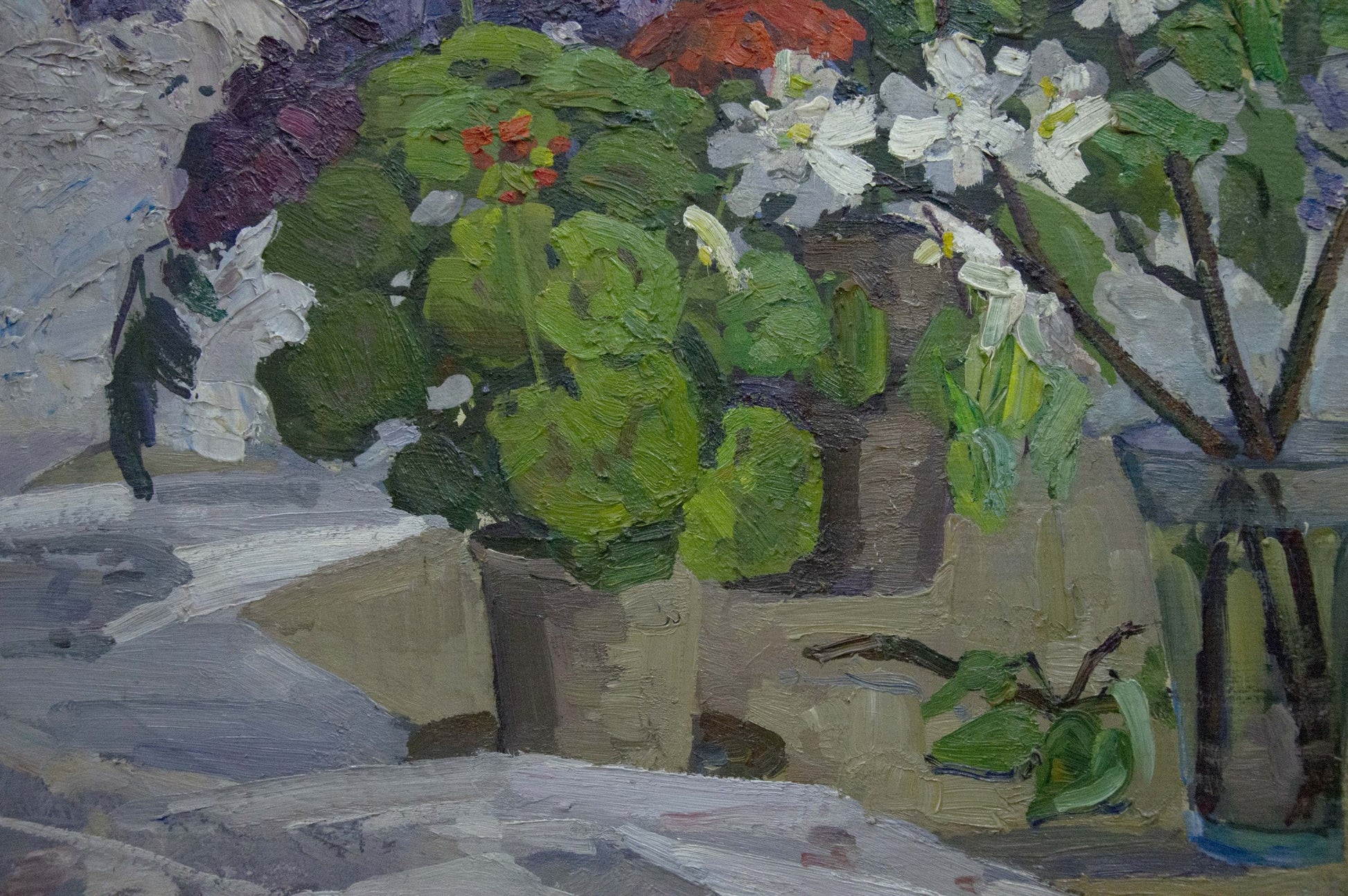 Oil painting of vibrant green potted geraniums with white and red blossoms by Zhugan Vladimir Alexandrovich