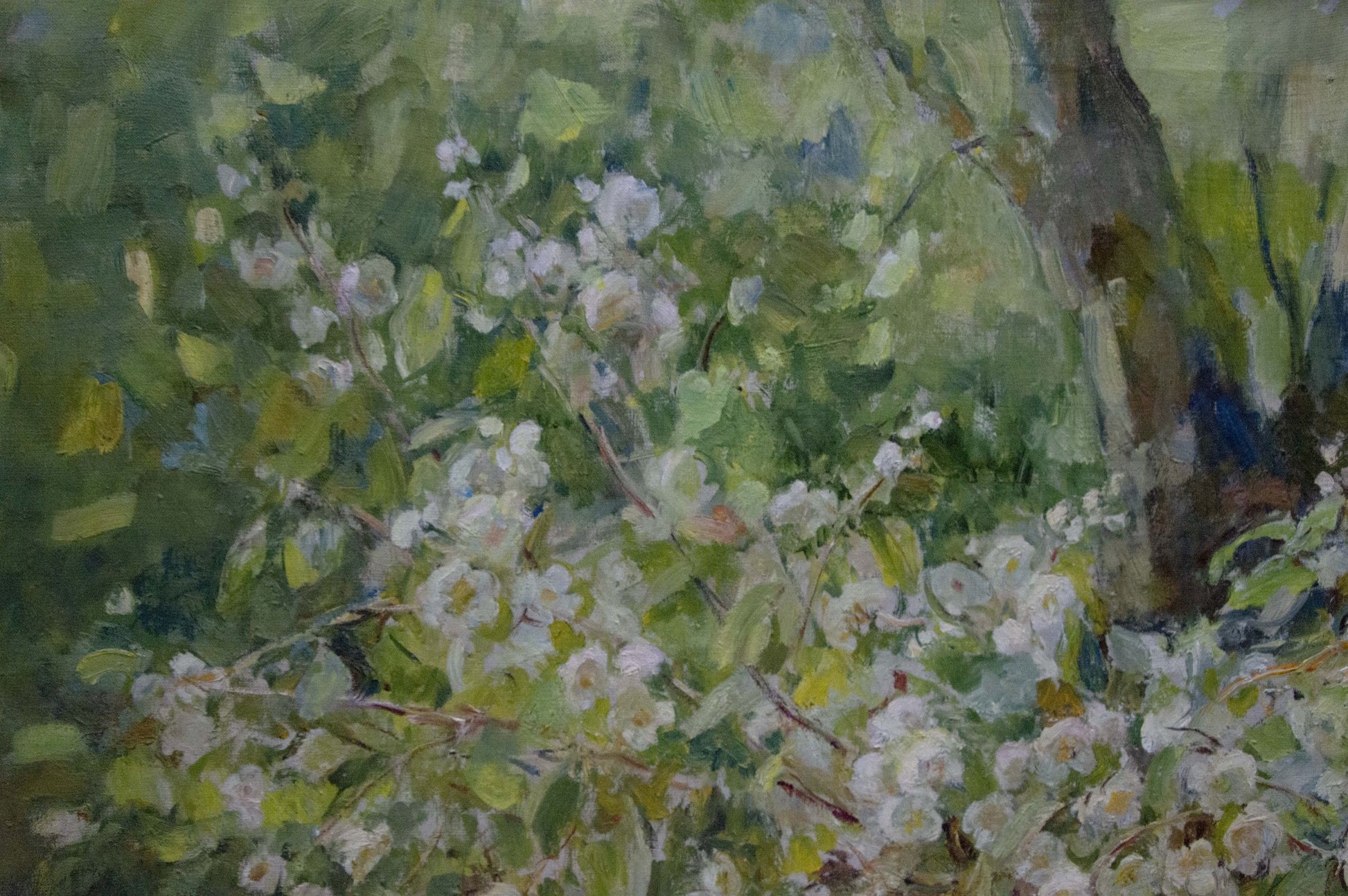 Oil painting of delicate white flowers by Naumova Tamara Sergeevna