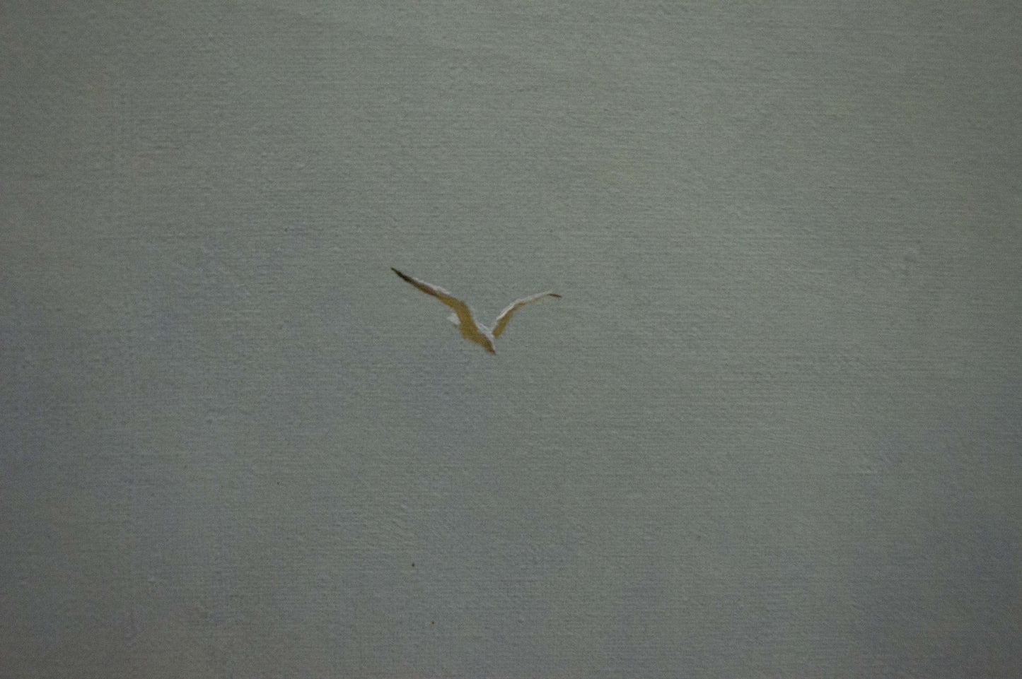 White seagull with dark-tipped wings soars in oil painting by the sea by Brusentsov Gennady Yakovlevich