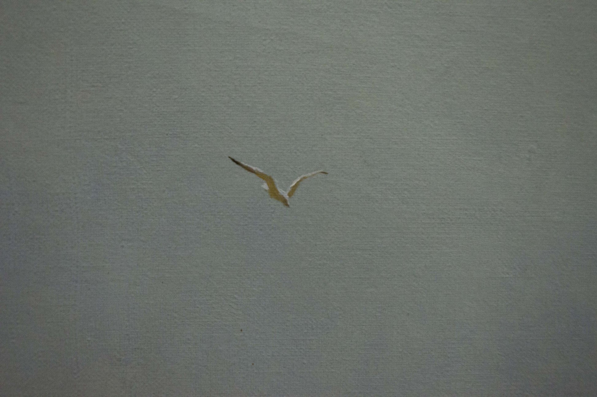 White seagull with dark-tipped wings soars in oil painting by the sea by Brusentsov Gennady Yakovlevich