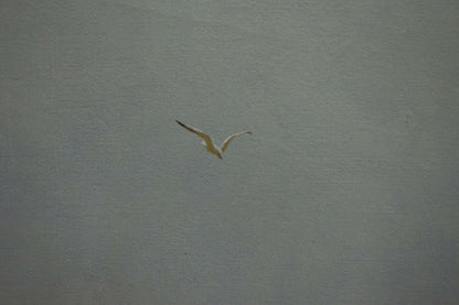 White seagull with dark-tipped wings soars in oil painting by the sea by Brusentsov Gennady Yakovlevich