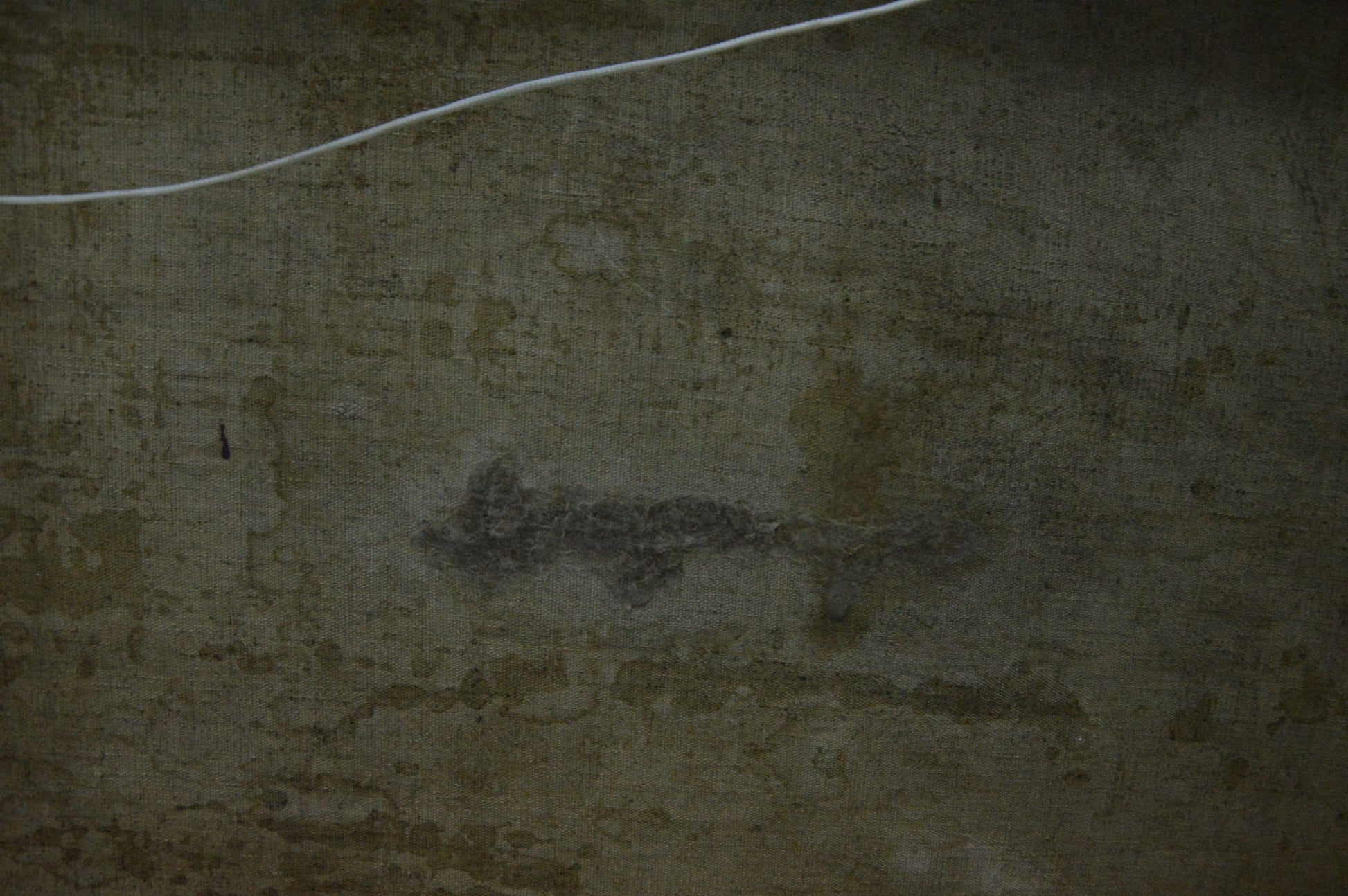 Faded fish-shaped stain on back of Oil painting Park near the shore by Khomko Vasily Efremovich