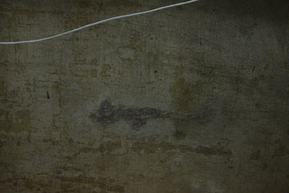 Faded fish-shaped stain on back of Oil painting Park near the shore by Khomko Vasily Efremovich