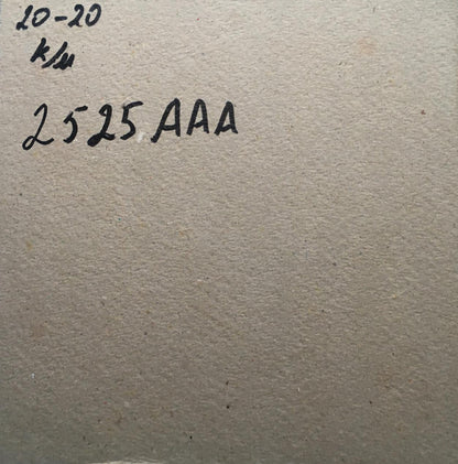 Back of oil painting Blooming tree Zadorozhnya V.V. on beige textured paper