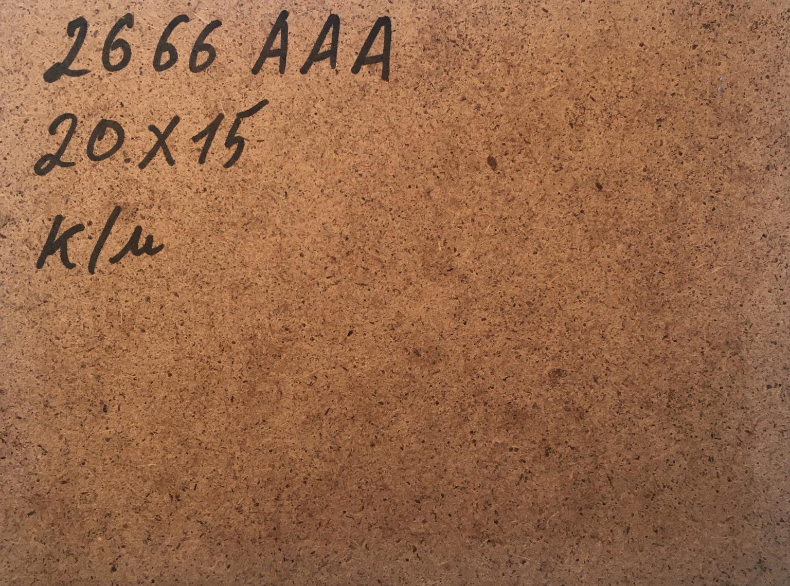Back of Oil painting By the evening V. Zadorozhnya brown textured surface with handwritten markings