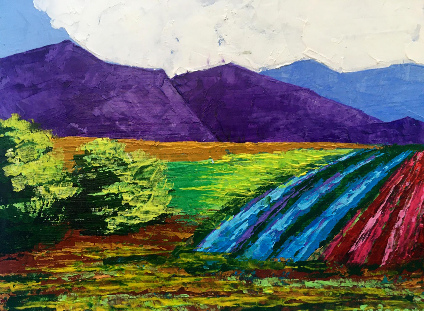 Vibrant oil painting Vineyards in mountains by V. Zadorozhnya purple peaks green fields