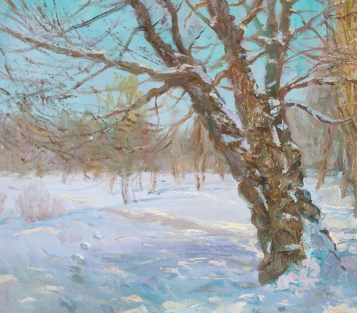 Winter Forest Landscape 