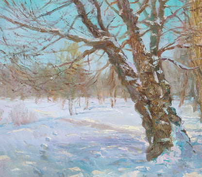 Winter Forest Landscape 