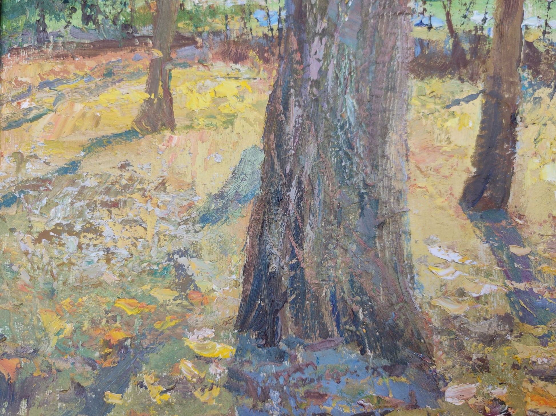 Forest landscape