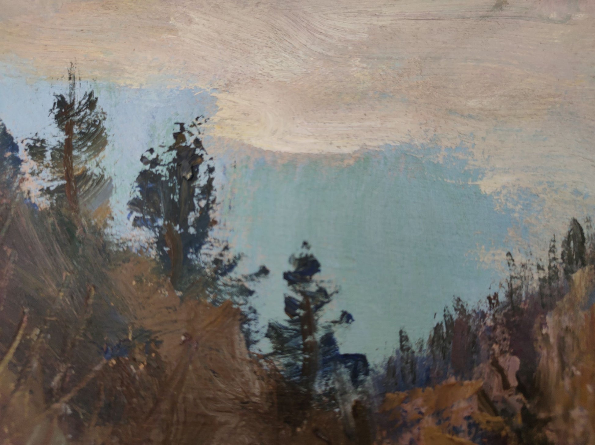 Forest landscape