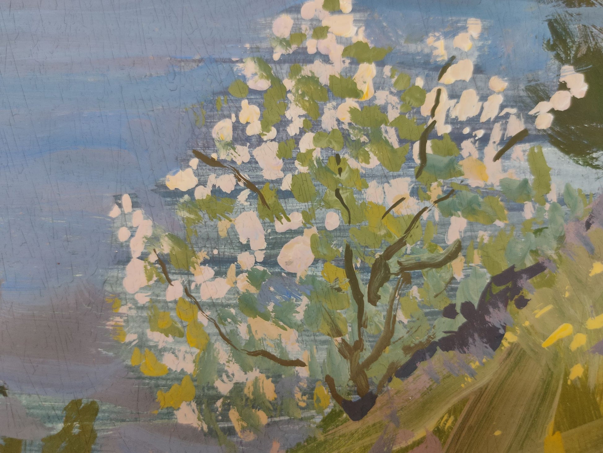 Oil Painting Nature Landscape 