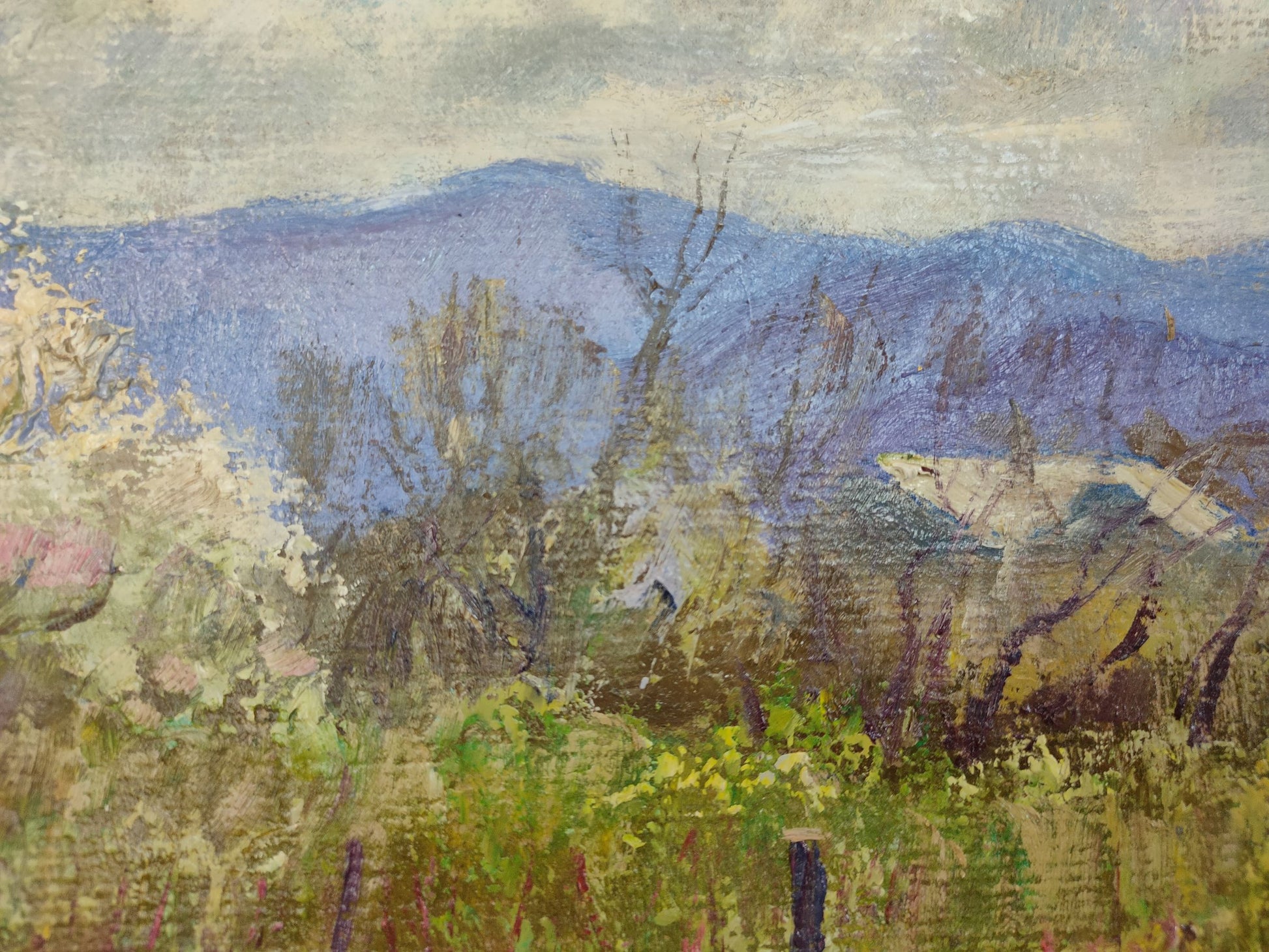 Spring Village landscape 