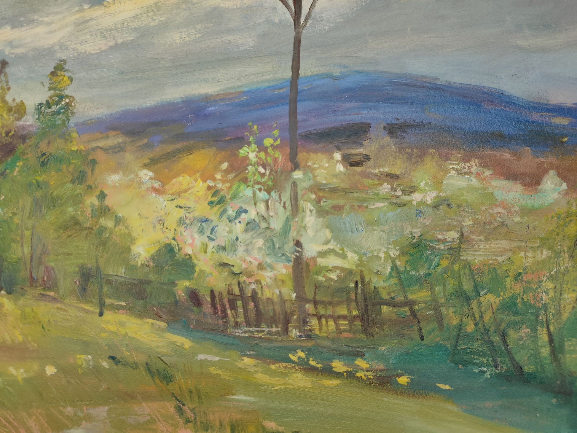 Spring Village landscape 