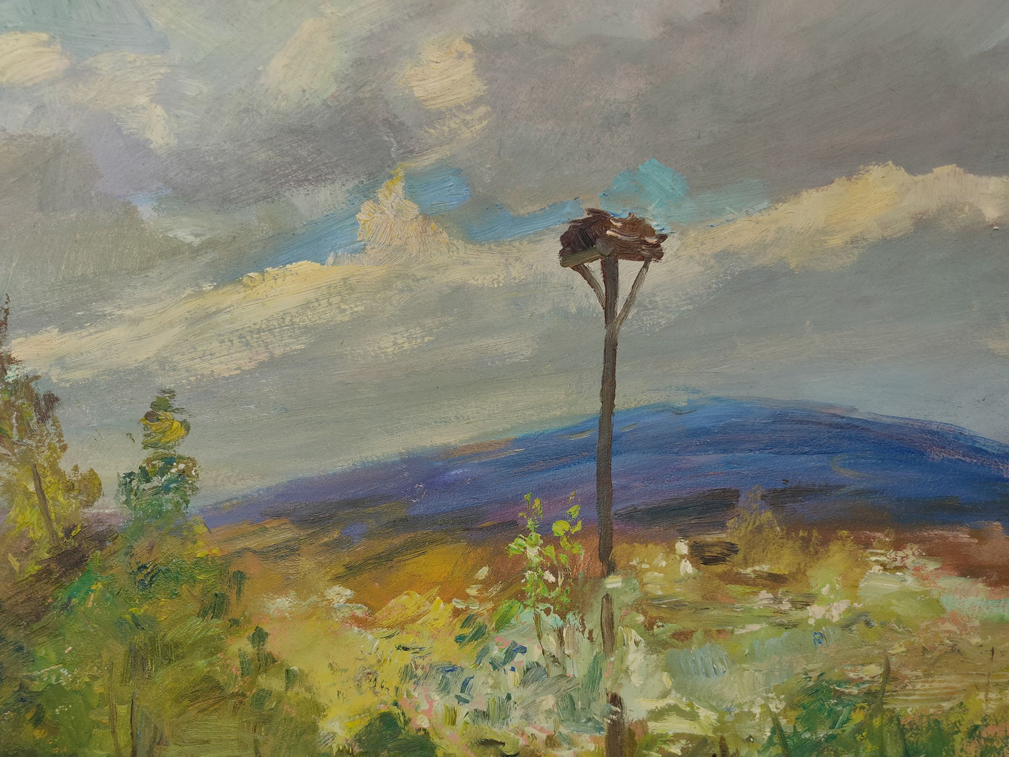 Rural landscape 