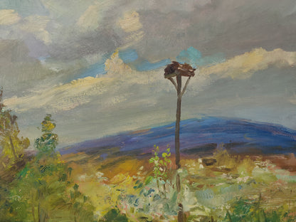 Rural landscape 