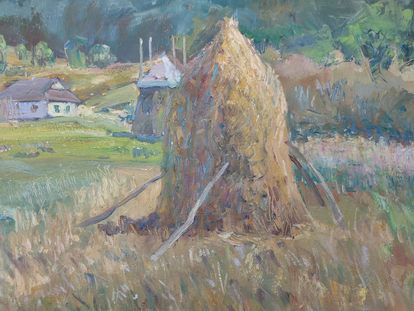 Summer Rural landscape 