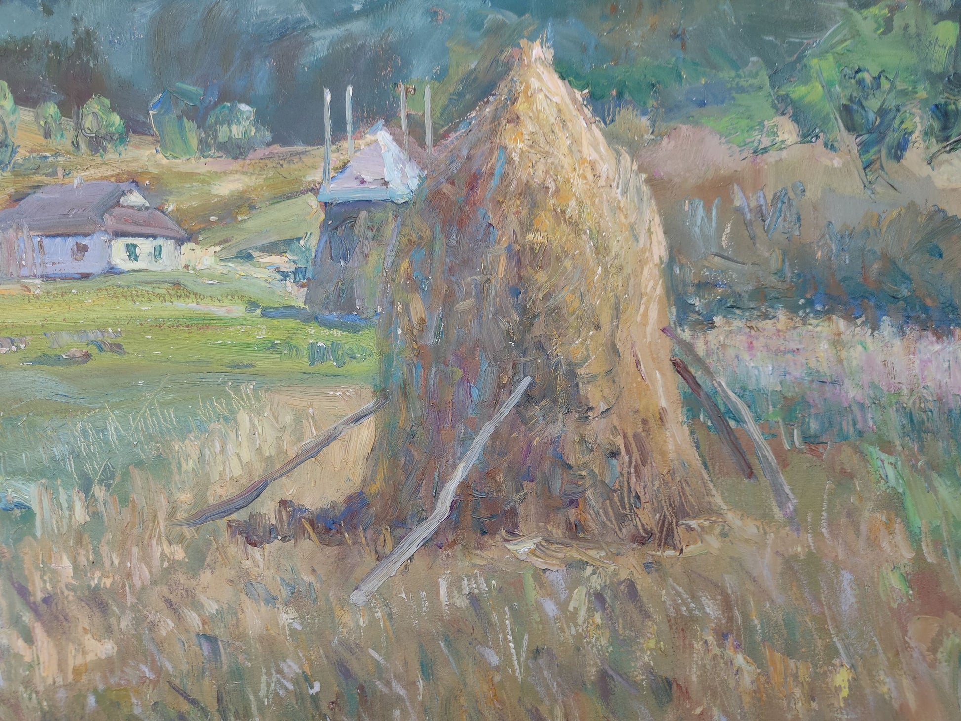 Summer Rural landscape 