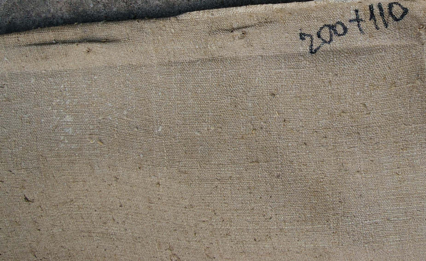 Back of beige linen canvas with coarse textured weave for Tokarev Lenin portrait