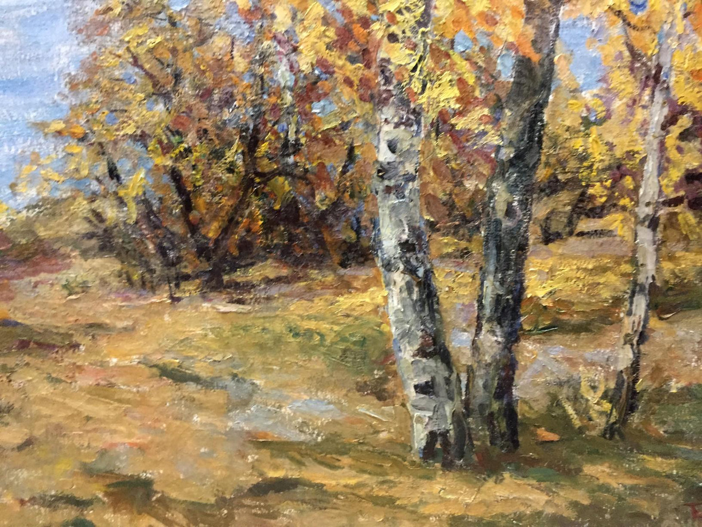 Oil painting by Basov Yakov Alexandrovich: autumn birch trees in sunlit field