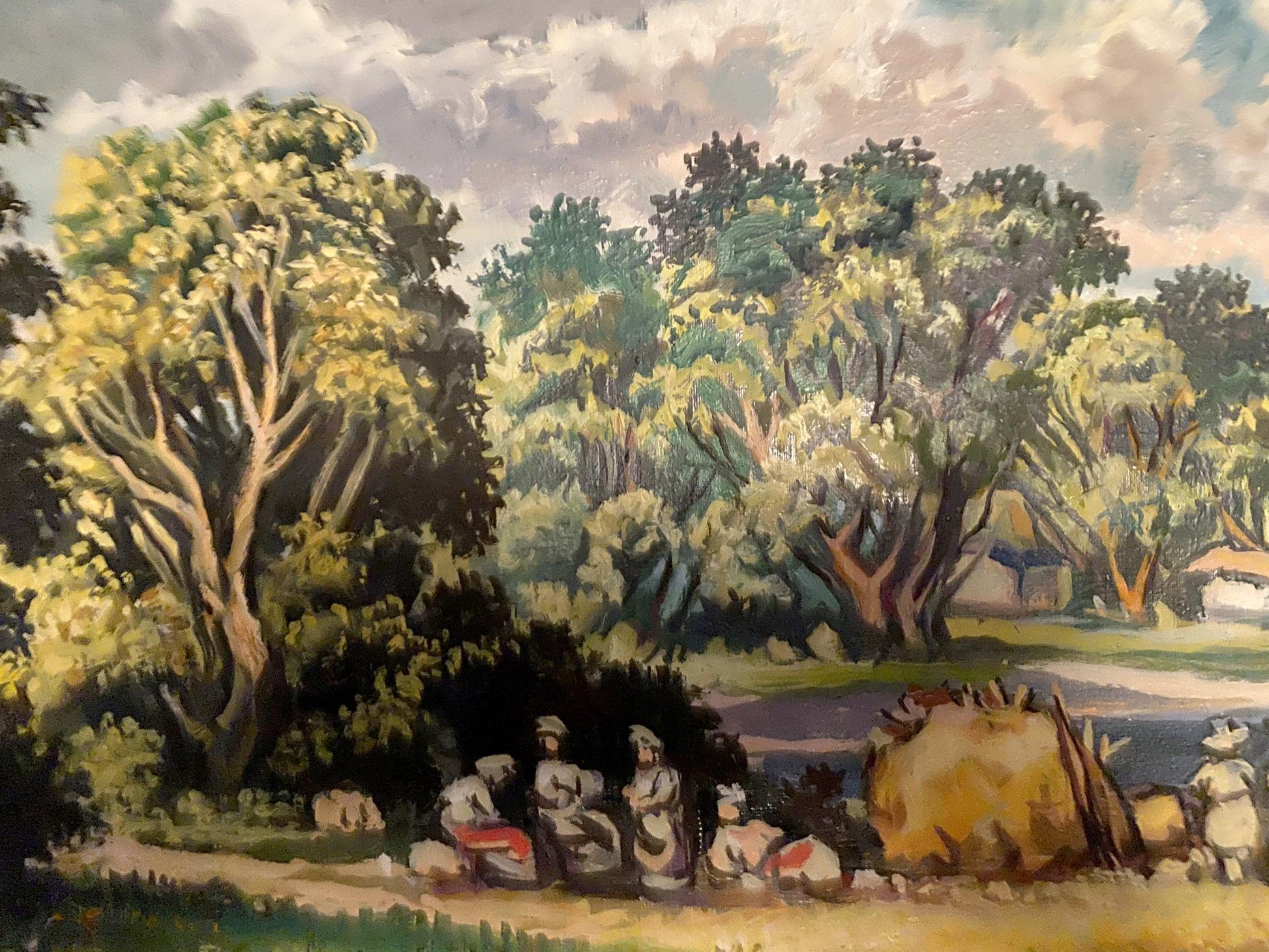 forest landscape