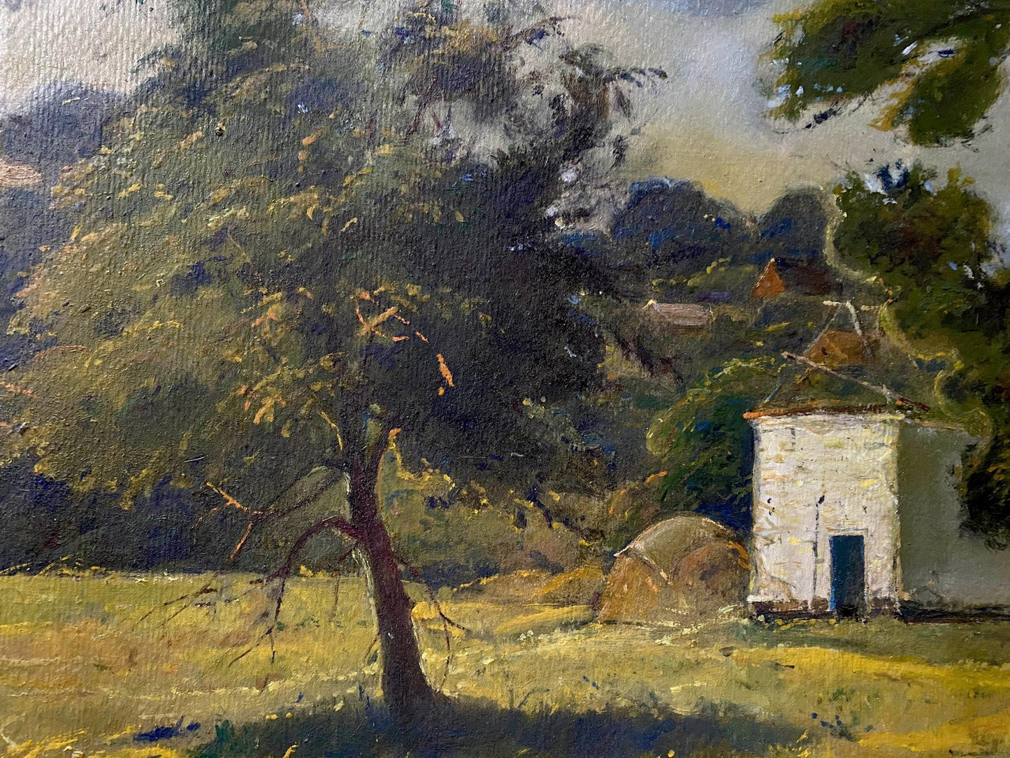 forest landscape