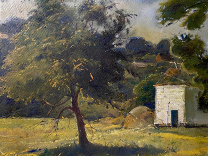 forest landscape