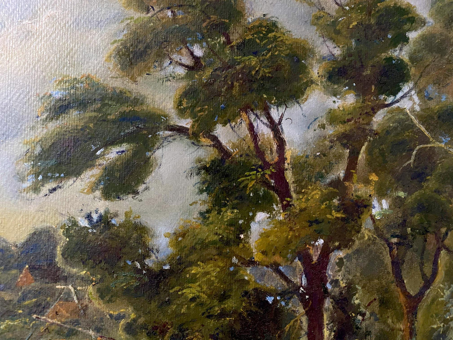 forest landscape
