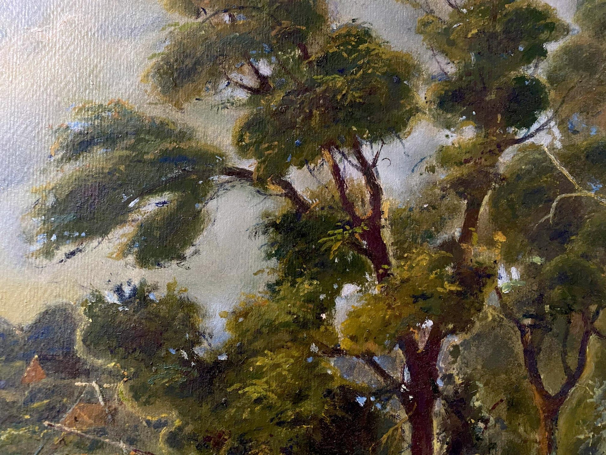 forest landscape