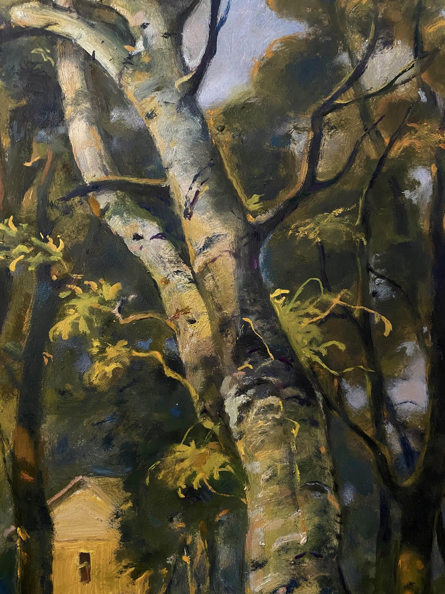 summer forest