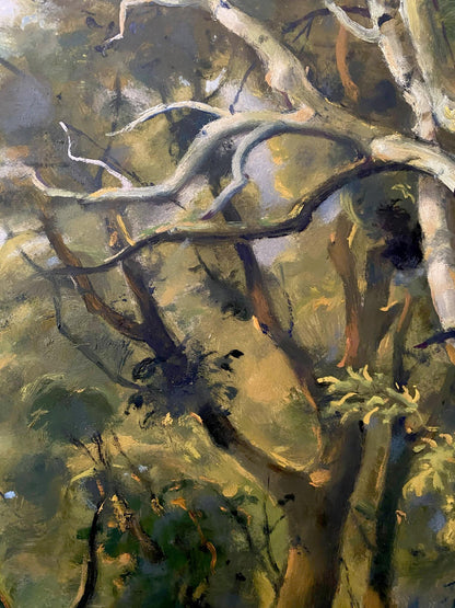 oil forest